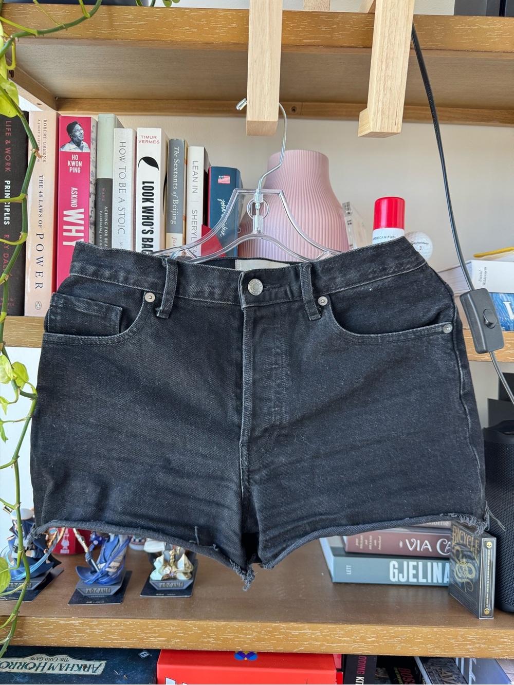 Everlane Cheeky Black High-Rise Jean Shorts